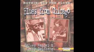Harvey Mandell,Barry Goldberg & Charlie Musselwhite - Hootchie Kootchie Man