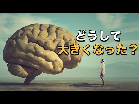 人類の知性は頂点に達したのでしょうか?