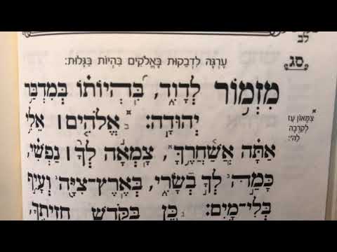 תהלים פרק סג׳ Tehillim perek 63 chapter 63