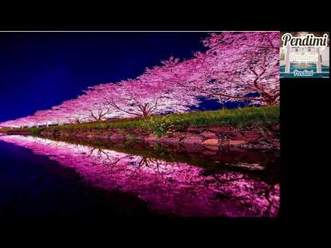 Eroll Rexhepi - Butesia