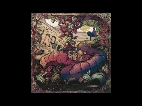 Vinifera - Kserokopie