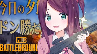 【PUBG】#SMRCUSTOM ドン勝食え【TEAM4／赤羽視点】