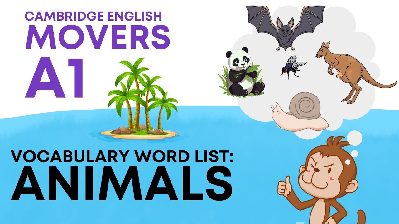 Animal Vocabulary A1- A2 Cambridge Fun for Movers vocabulary