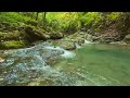 RIVER CINEMATIC VIDEOS FREE NATURE VIDEOS FREE DOWNLOAD VIDEOS 4K