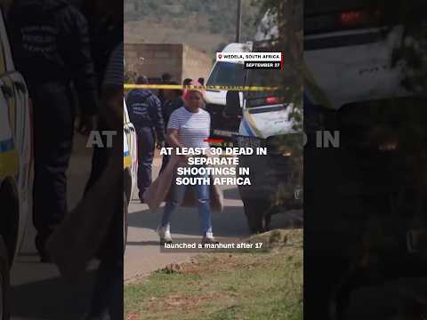 At least 30 dead in separate shootings in South Africa