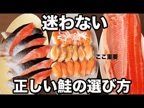 サルベリヌスについて詳しく解説