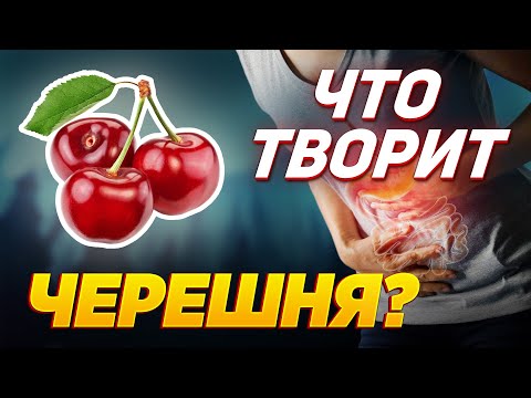 , title : 'ЧЕРЕШНЯ может вызвать необратимый процесс. Что творит ЧЕРЕШНЯ?'