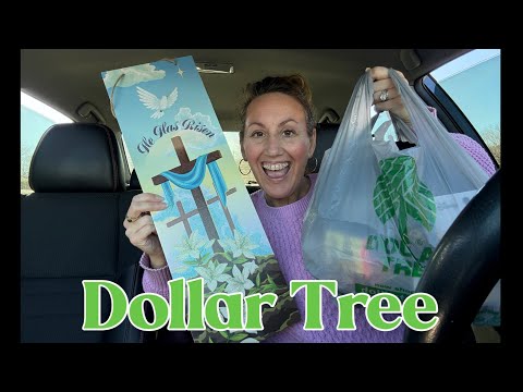 DOLLAR TREE HAUL | The BEST NEW Items! | ✨BONUS✨ OLLIE’S Haul At The End! 