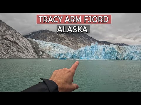 What to expect on the Carnival Luminosa cruise through Alaska's Tracy Arm Fjord