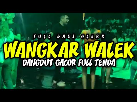 DANGDUT GACOR🍊WANGKAR WALEK - FULL BASS MAUMERE - VIRAL TIKTOK
