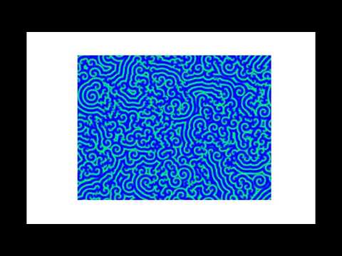 Belousov-Zhabotinsky (BZ) Reaction Simulation using Python