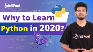 What is Python | Why to Learn Python | Intellipaat