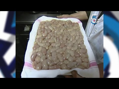 Paprikaš od PETLOVIH JAJA - Borino 5kazanje