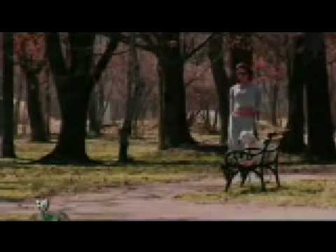 Dado Polumenta -  Anamarija