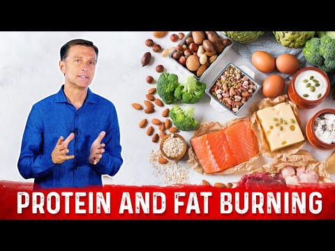 Protein and Fat Burning