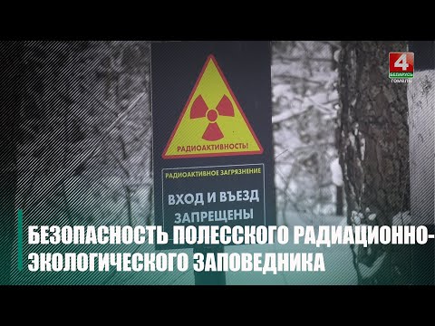 Новую систему противопожарного надзора внедряют в Полесском радиационно-экологическом заповеднике видео