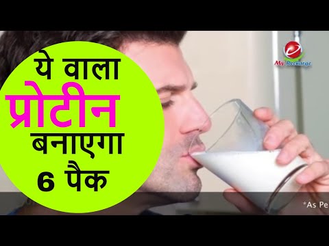 Plant protein powder, 500 gm