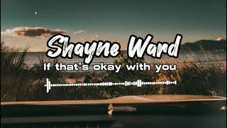 Shayne Ward - If That&#39;s Okay With You [2023 JIVE REMIX]
