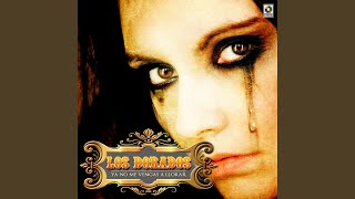 Ya No Me Vengas A Llorar Lyrics English Translation