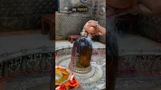 Download lagu प्रभु महाकाल 🚩 #pandit_pradeep_ji_mishra mp3