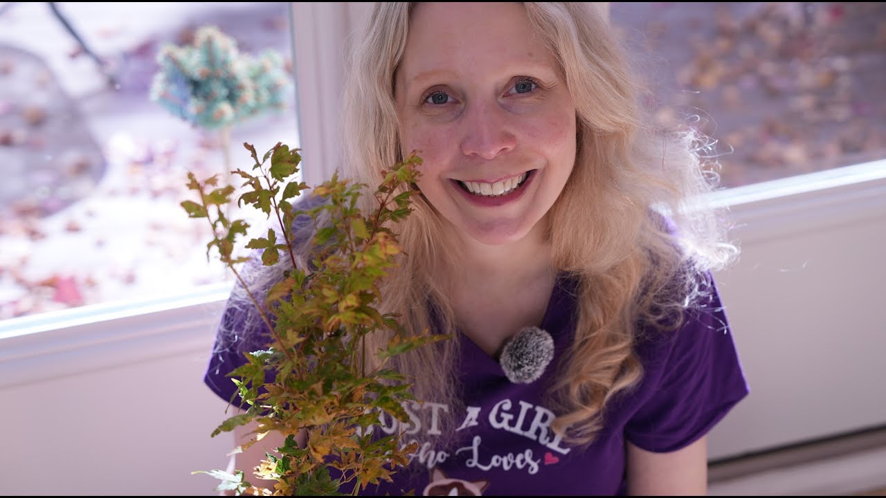 Unboxing 'Little Sango' from Mr. Maple