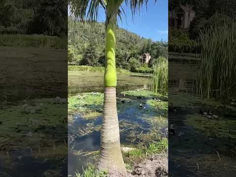 Choachi Cundinamarca 