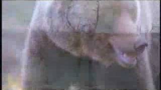 NCS - Save The Arctic Refuge