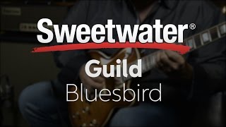 Video thumbnail for Guild Bluesbird Electric Guitar Review by Sweetwater