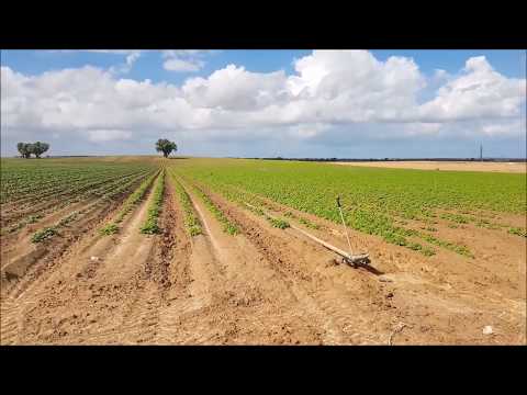 תמונה של דרך הבשור הקטע התיכון