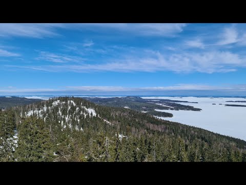 Koli & OAC XCD BC liukulumikengät