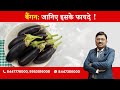 Brinjal Know The Benefits By Dr Bimal Chhajer Saaol