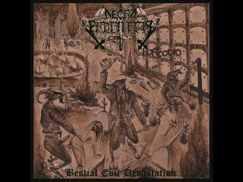 Necroprofanator - The Embrace Of Torment