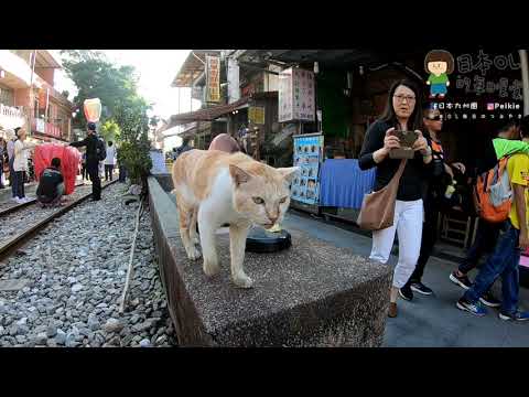 Taiwan / Jingtong, lanterna Shifen Pingxi, Houtong Cat Village, noite de Jiufen, mercado noturno de Keelung / viagem de um dia