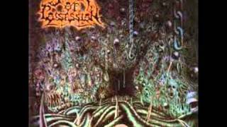 Spawn Of Possession - Swarm of the Formless