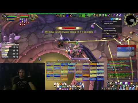 WoW Classic Naxxramas - Grand Widow Faerlina - Holy Priest POV