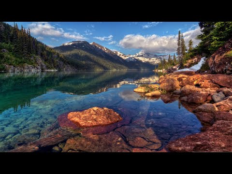 Syntouch — The Touch (Original Mix)