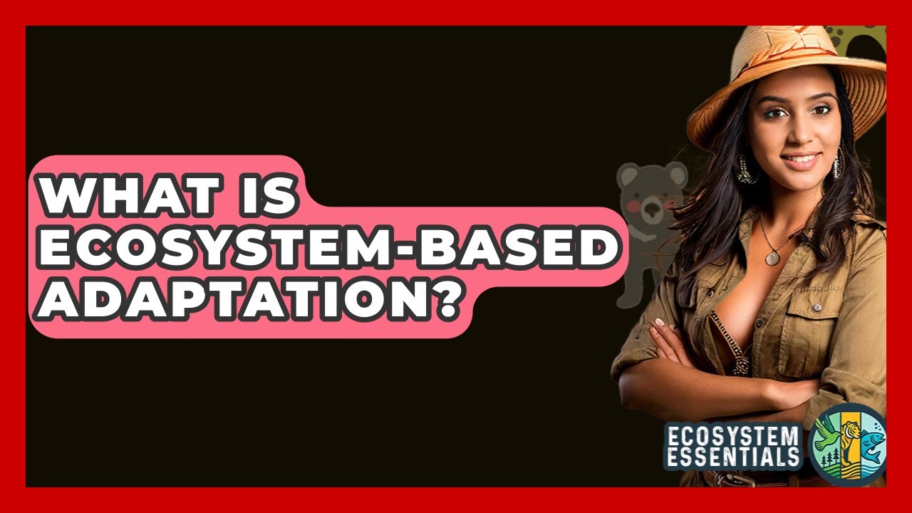 What Is Ecosystem-based Adaptation? - Ecosystem Essentials