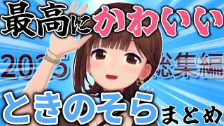 【総集編】いつも鳴き声や動きは可愛いが時々色っぽい声を出す2025年そらちゃんまとめ【ホロライブ切り抜き/ときのそら】