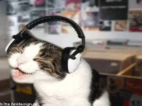 Şeyhum Şeyh& Firavun_ Feat. Yanlızlar Şarkılarda.flv