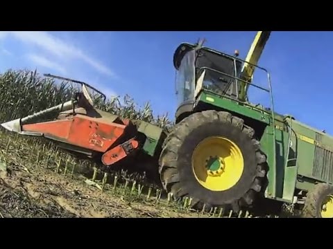 hqdefault Zbiór kukurydzy na kiszonkę 2016 w pełni – VIDEO