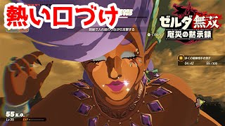 【実況】定年を迎えた父を再びハイラルの大地に放り込むPart29【ゼルダ無双 厄災の黙示録】