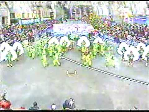 aqua string band 1998 aqua hits the beach