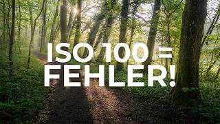Warum ISO 100 deine Waldfotos ZERSTÖRT! ❌ - ISO-Invarianz erklärt | Landschaftsf