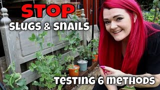 Testing 6 Natural Deterrents for Slug & Snail Control in the Garden / MoggyBoxCraft