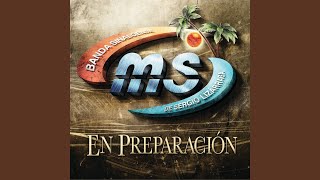 Maldita Cucaracha Lyrics English Translation