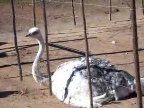 Garden Route South Africa