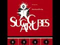 The Sugarcubes : Chihuahua