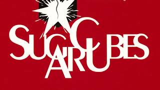 The Sugarcubes : Chihuahua