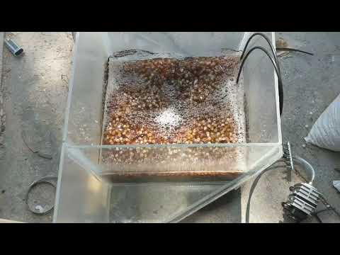 Moving Bed Biofilm Reactor (MBBR)