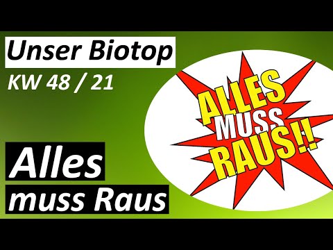 Alles muss raus - #Biotop - KW 48 / 2021